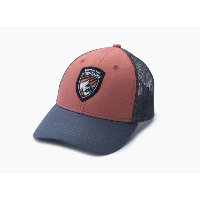 Born Trucker - Image 4