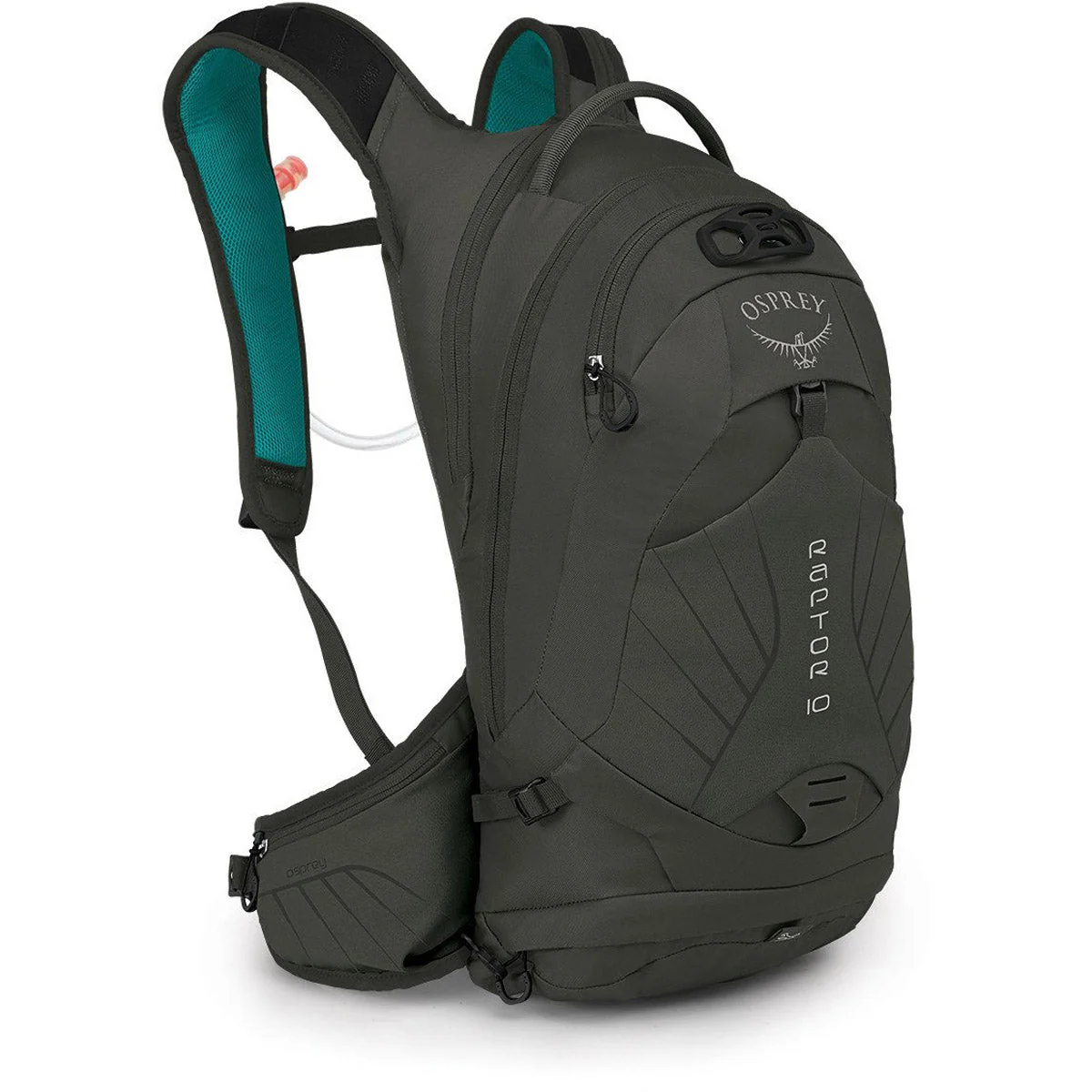 Raptor 10 - Image 2
