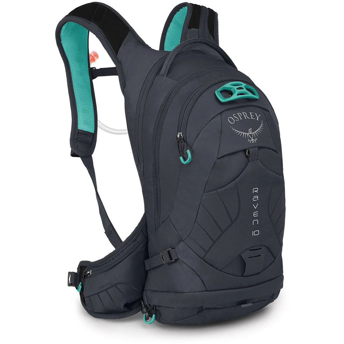 Raven 10 - Image 2